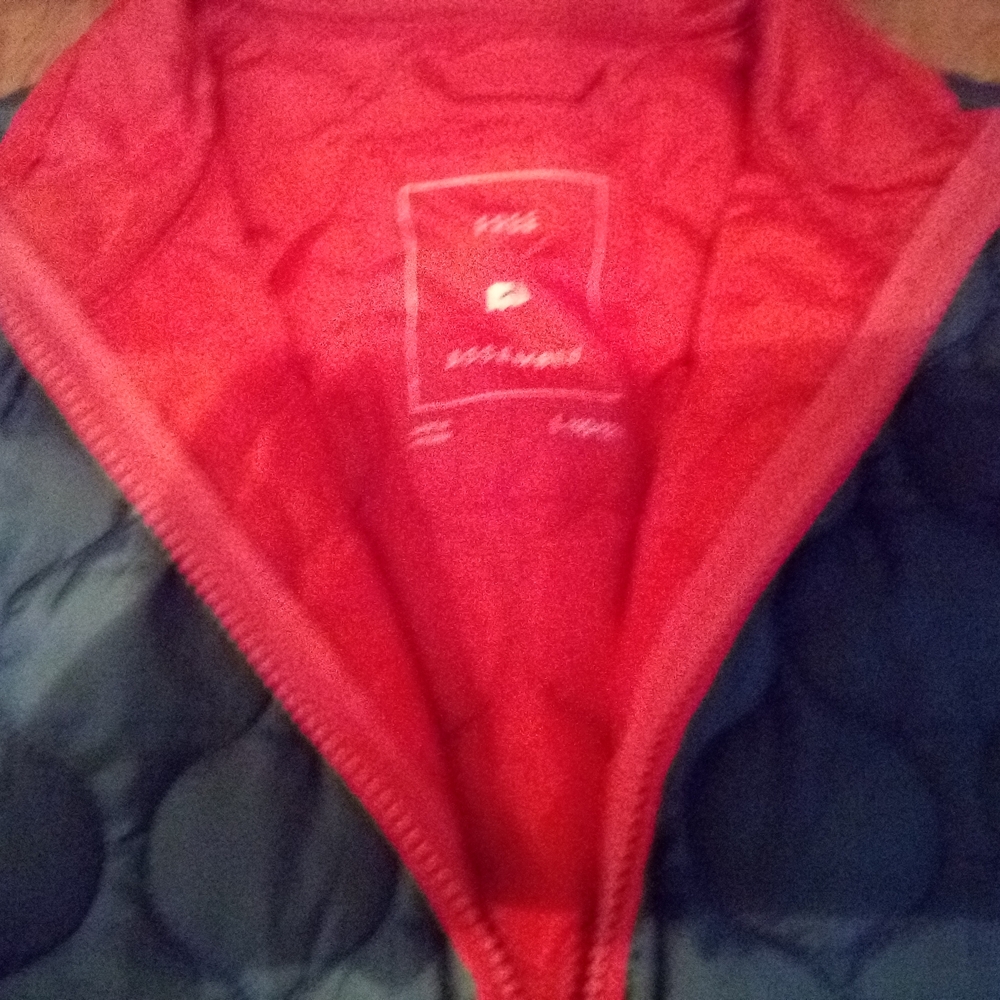 Gray and Red Quilted Jacket - Picture 3 of 4